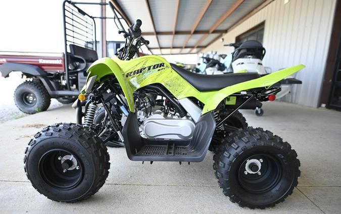2026 Yamaha Raptor 110