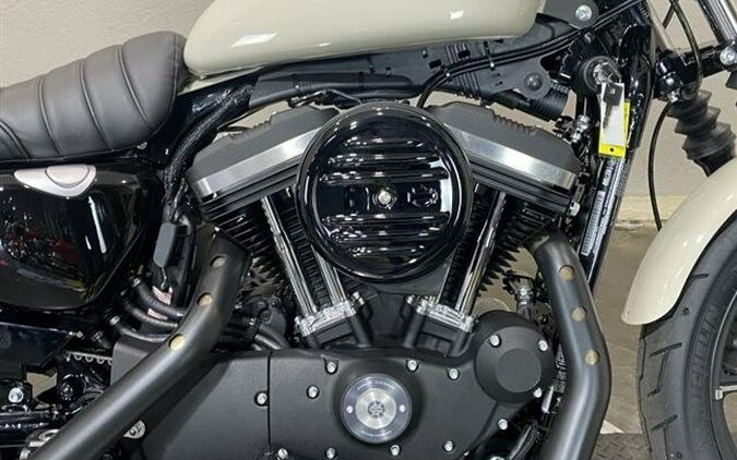 2022 Harley-Davidson Iron 883 White Sand Pearl