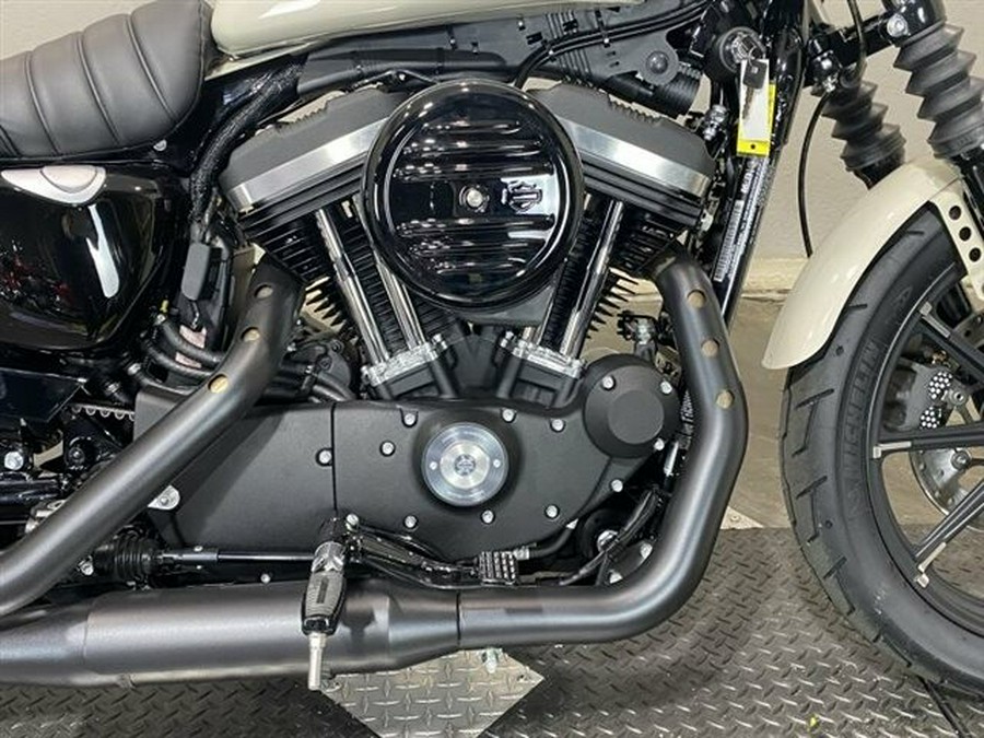 2022 Harley-Davidson Iron 883 White Sand Pearl