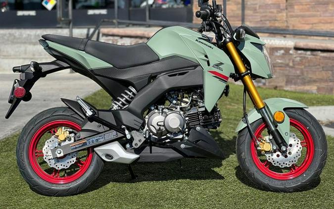 2023 Kawasaki Z125 PRO