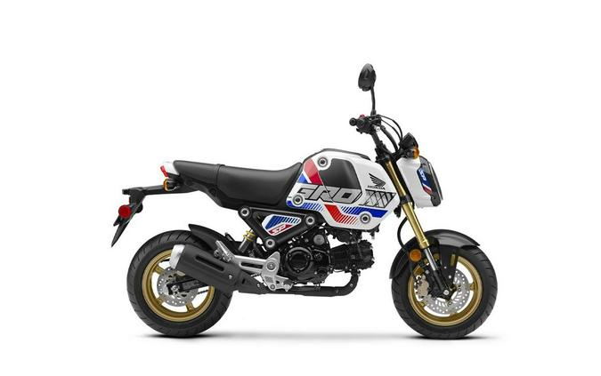 2022 Honda Grom Review (A Dozen Fast Facts From Alabama)