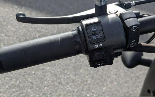 2019 Honda® Shadow Phantom