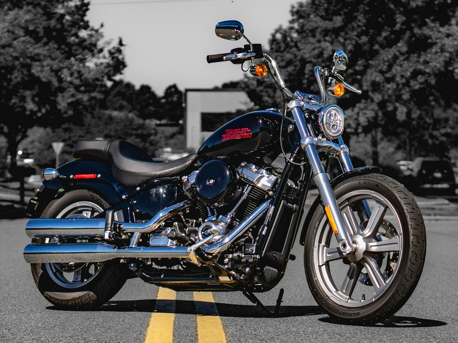 FXST 2023 Softail® Standard