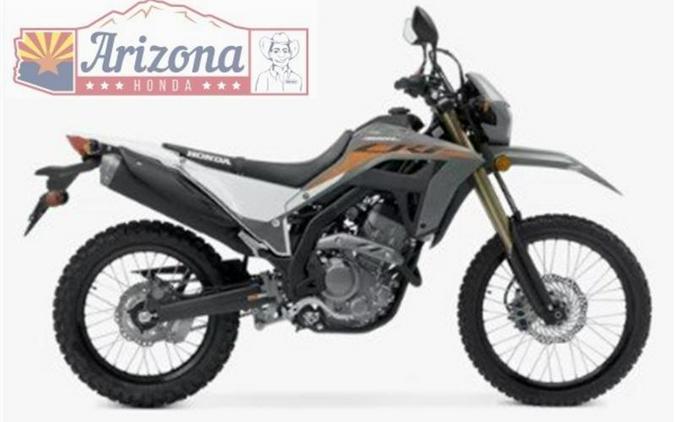 2024 Honda® CRF300LS