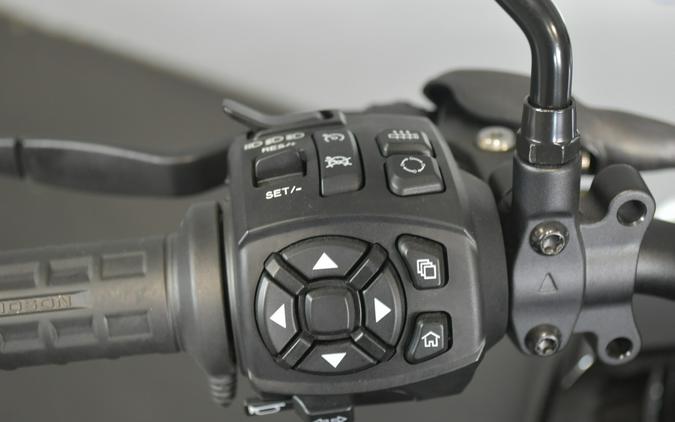 2025 Harley-Davidson Pan America 1250 ST RA1250ST