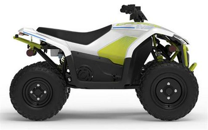 2024 CFMOTO CForce EV110