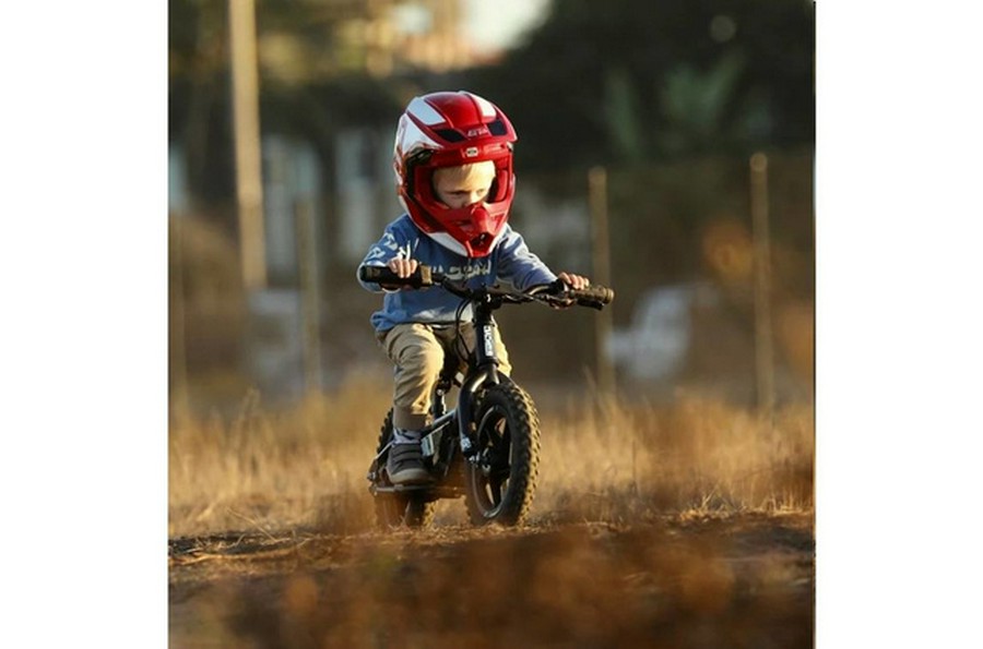 2025 STACYC 12 Edrive