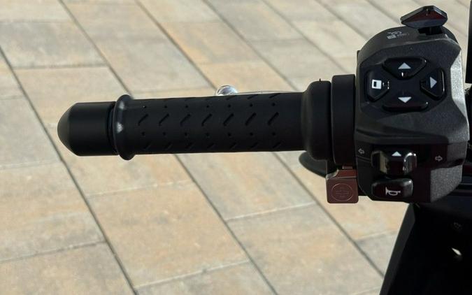 2024 Aprilia® Tuono V4 1100