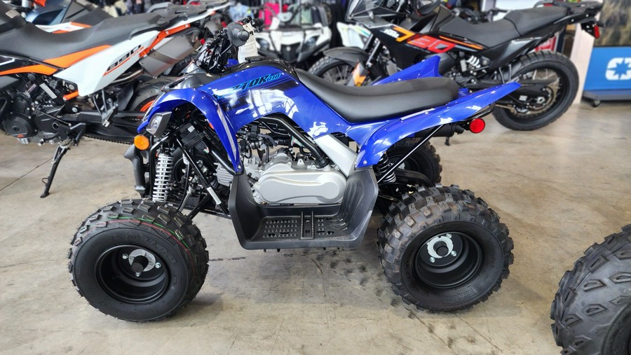 2024 Yamaha Raptor 110