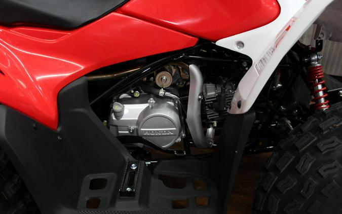 2024 Honda® TRX90X