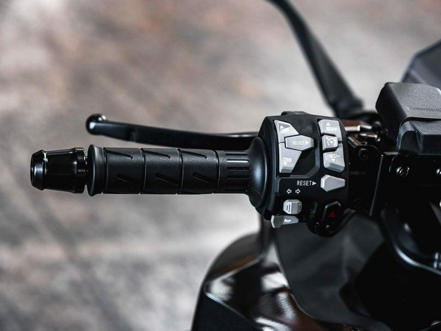 2025 Kawasaki Ninja® 1100SX ABS