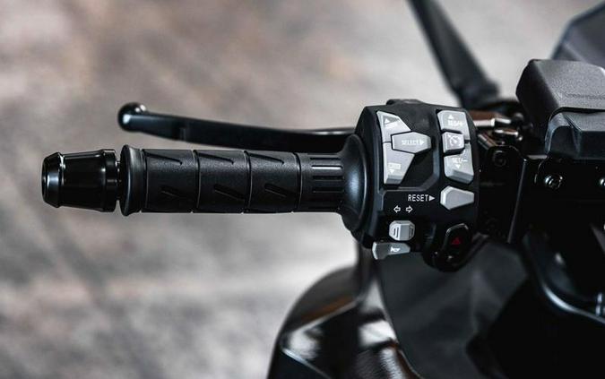 2025 Kawasaki Ninja® 1100SX ABS