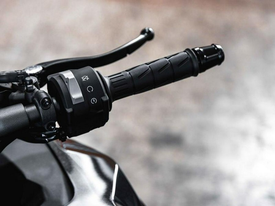 2025 Kawasaki Ninja® 1100SX ABS