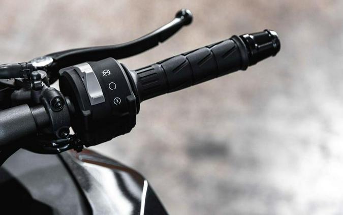 2025 Kawasaki Ninja® 1100SX ABS