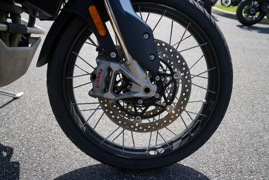 2024 Triumph Tiger 900 Rally Pro