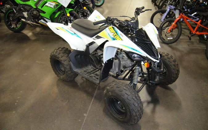 2021 Yamaha Raptor 90