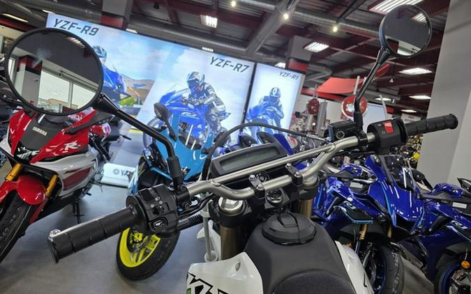 2026 Kawasaki KLX 300