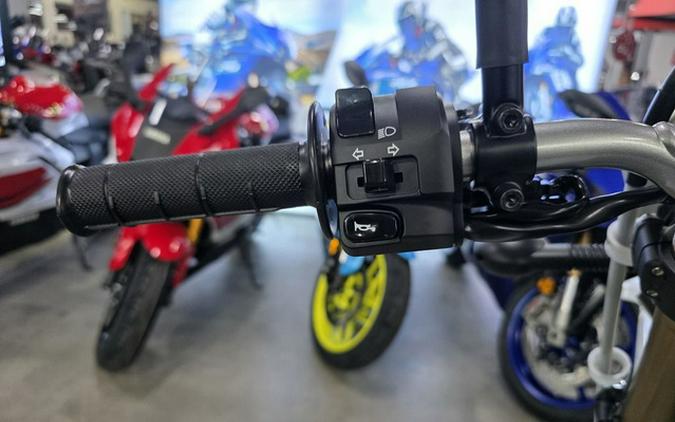2026 Kawasaki KLX 300