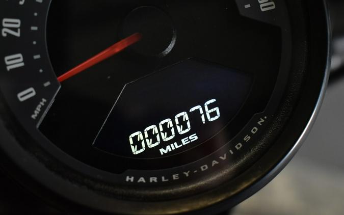 2023 Harley-Davidson Nightster