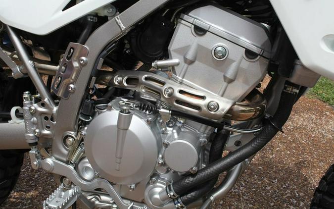 2026 Kawasaki KLX 300