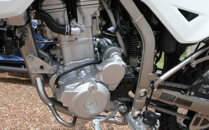 2026 Kawasaki KLX 300
