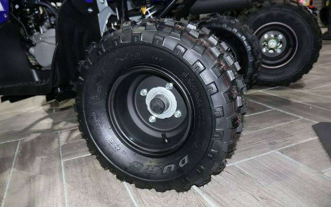 2026 Yamaha Raptor 110