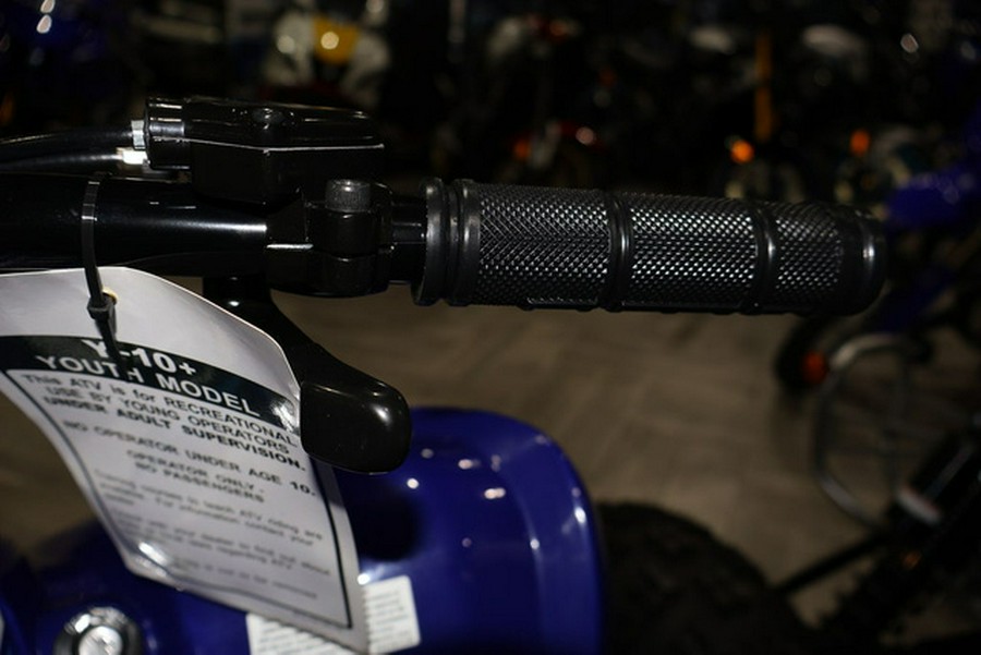 2026 Yamaha Raptor 110