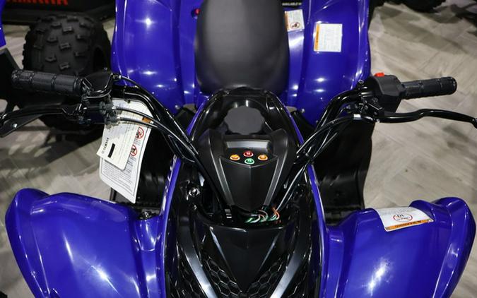 2026 Yamaha Raptor 110