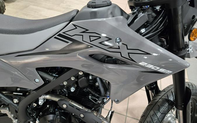 2025 KAWASAKI KLX230SM ABS