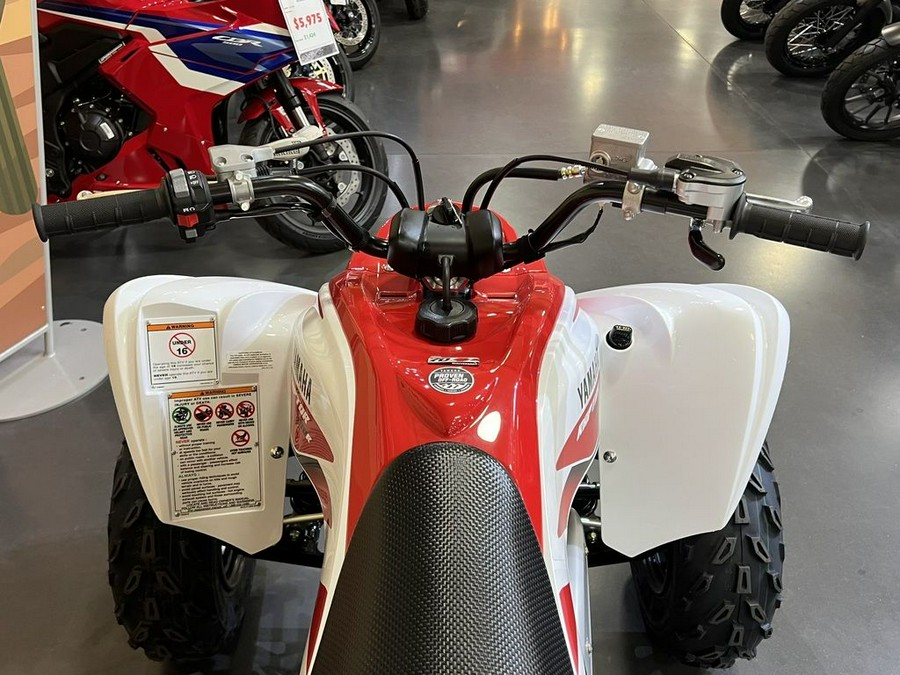 2026 Yamaha Raptor 700R SE