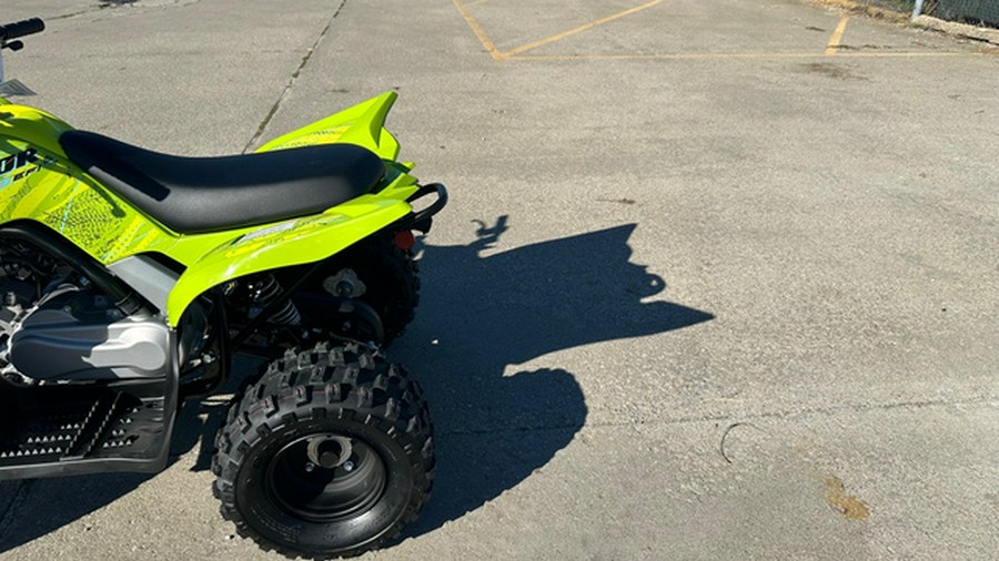 2026 Yamaha Raptor 110