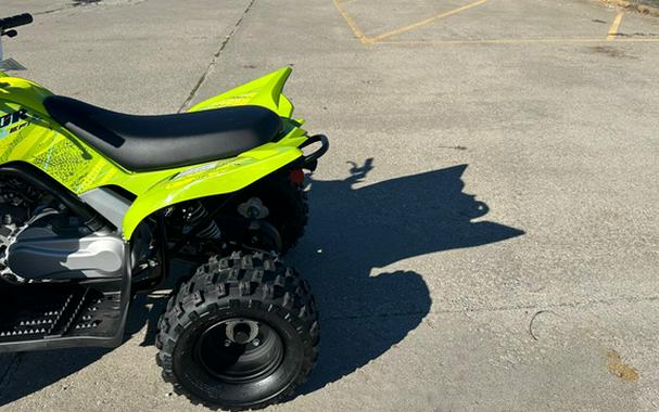 2026 Yamaha Raptor 110