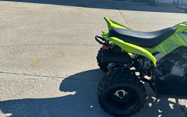 2026 Yamaha Raptor 110