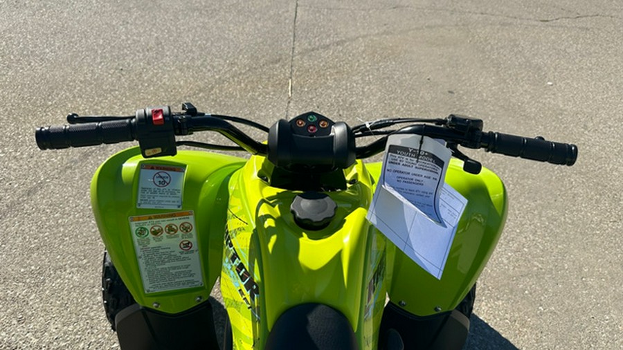 2026 Yamaha Raptor 110