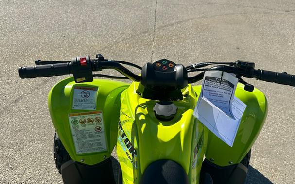 2026 Yamaha Raptor 110