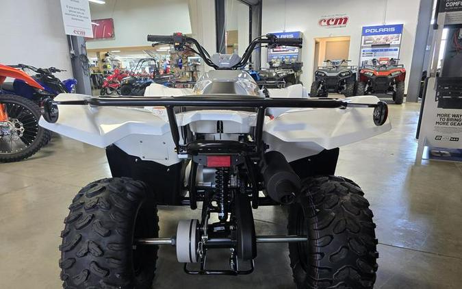 2024 Yamaha Grizzly 90