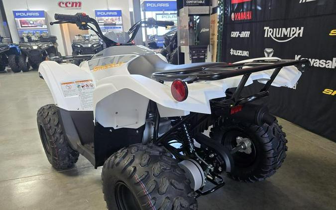 2024 Yamaha Grizzly 90