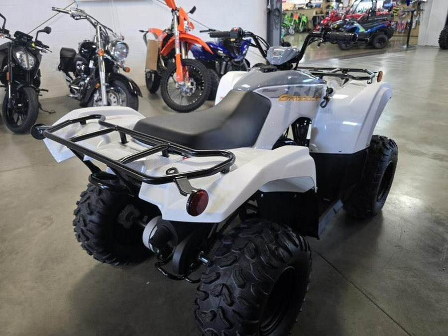 2024 Yamaha Grizzly 90