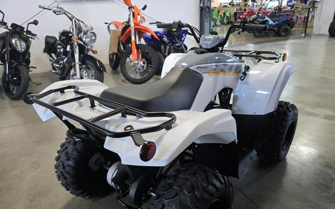 2024 Yamaha Grizzly 90