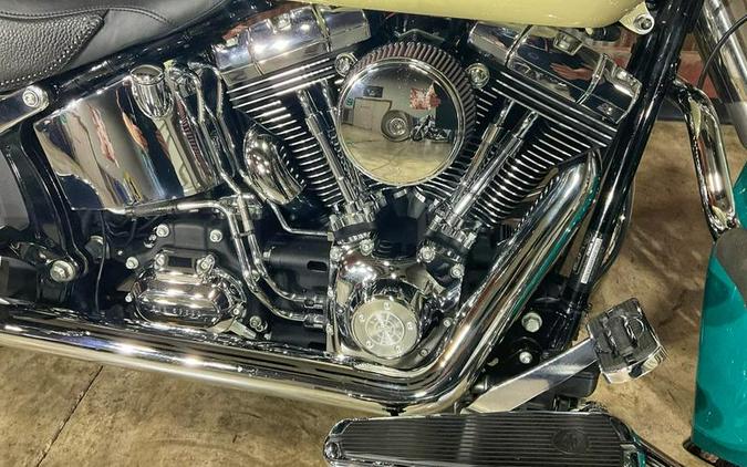 2009 Harley-Davidson® FLSTN - Softail® Deluxe