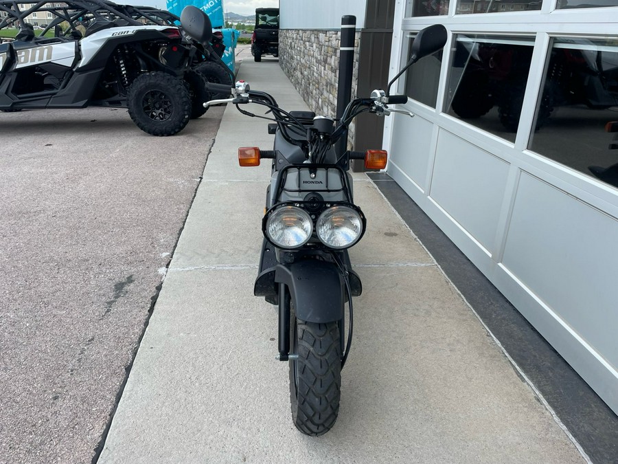 2022 Honda Ruckus