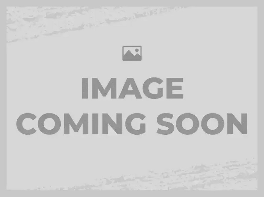 Used 2020 Triumph BONNEVILLE T100
