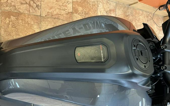 2022 Harley-Davidson® RA1250S - Pan America™ 1250 Special