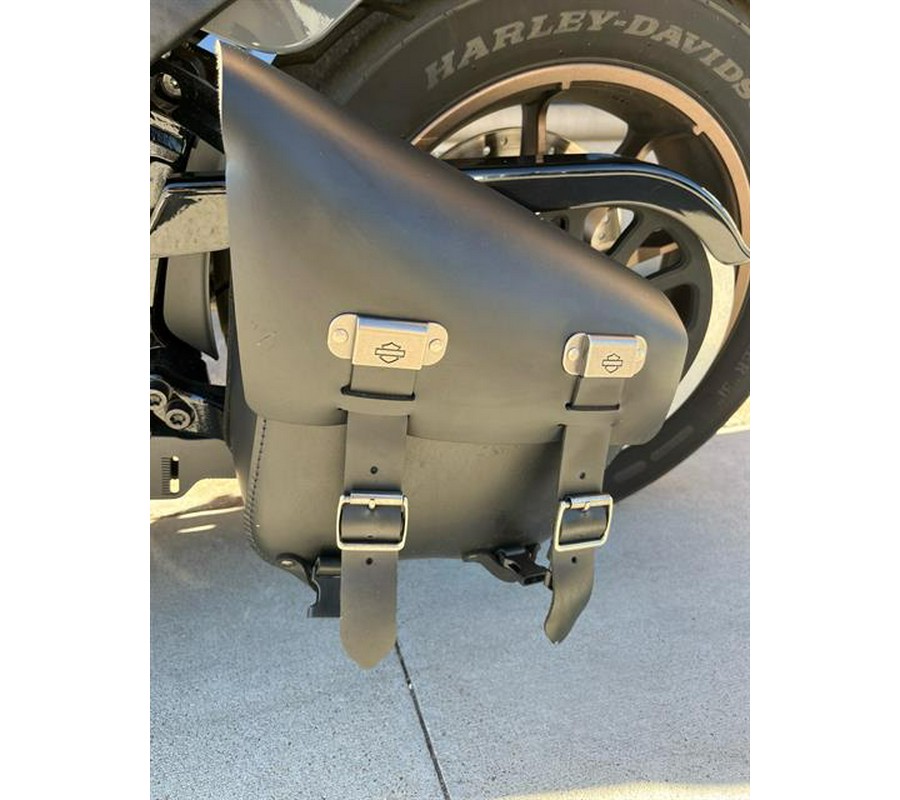 2022 Harley-Davidson Low Rider® S