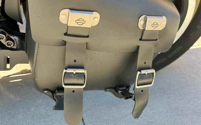 2022 Harley-Davidson Low Rider® S