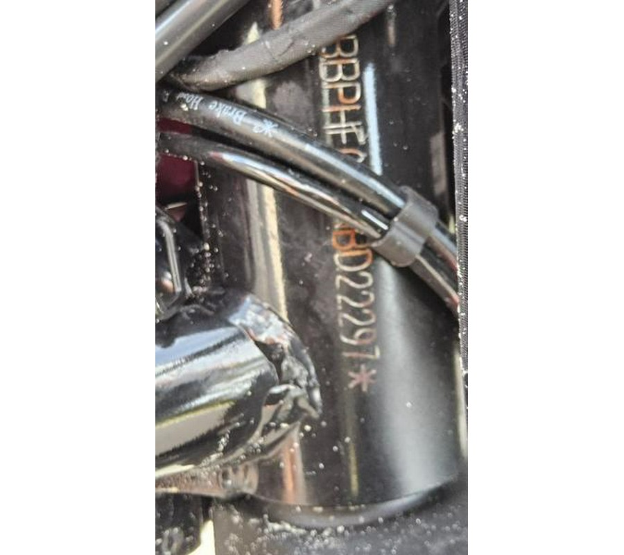 2022 Benelli Leoncino 500 Trail