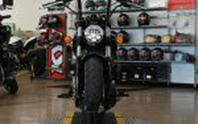 2019 Indian Scout Icon