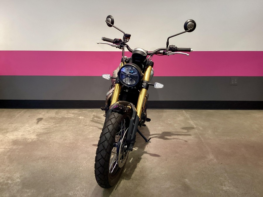 2026 Triumph Scrambler 900