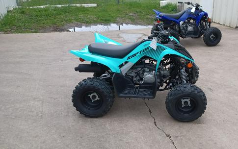 2024 Yamaha Raptor 110