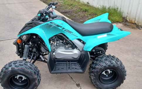 2024 Yamaha Raptor 110